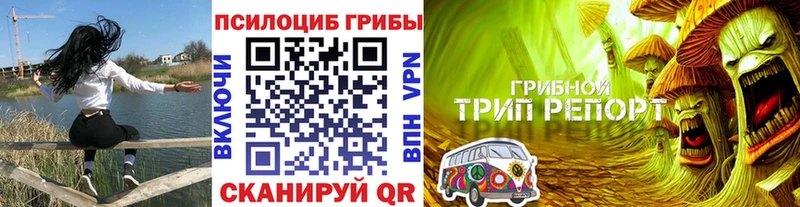 Галлюциногенные грибы мицелий  Пушкино 