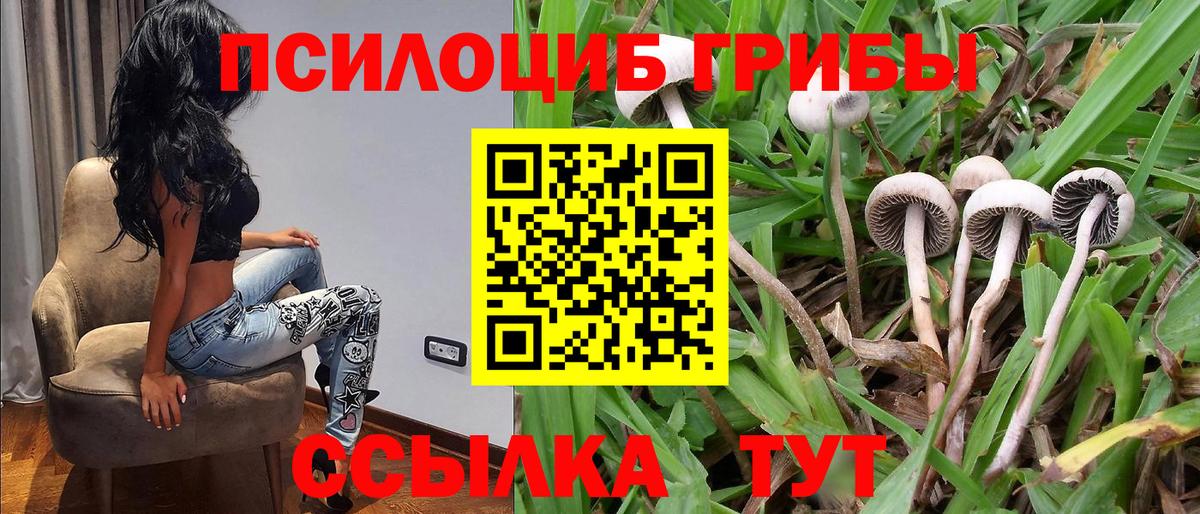 Галлюциногенные грибы мухоморы  Галлюциногенные грибы Magic Shrooms  Пушкино  Вход с VPN 