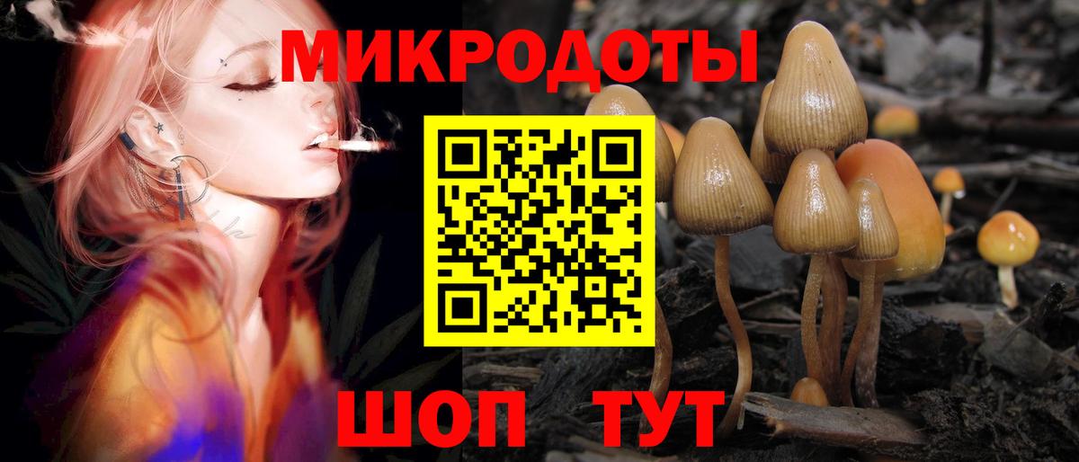 Галлюциногенные грибы Psilocybe Пушкино
